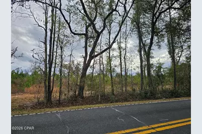 000 Lovewood Road, Cottondale, FL 32431 - Photo 3