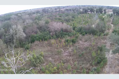 Tbd Lovewood Road, Cottondale, FL 32431 - Photo 17