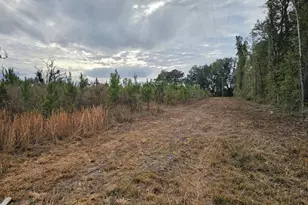 Tbd Lovewood Rd, Cottondale, FL 32431 - Photo 1
