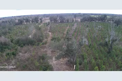Tbd Lovewood Road, Cottondale, FL 32431 - Photo 19