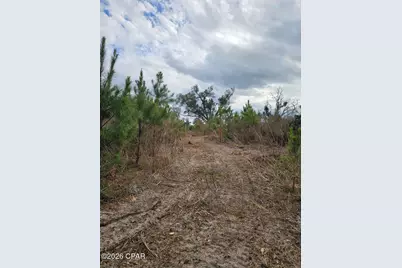 Tbd Lovewood Road, Cottondale, FL 32431 - Photo 5