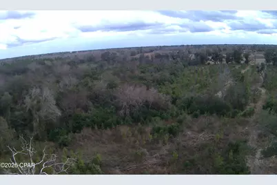 0000 Lovewood Road, Cottondale, FL 32431 - Photo 17