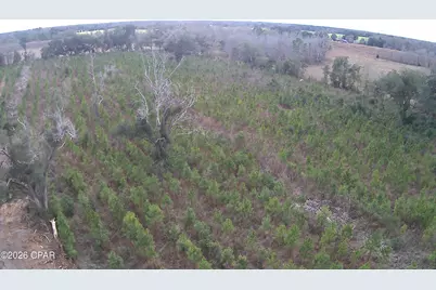 0000 Lovewood Road, Cottondale, FL 32431 - Photo 15