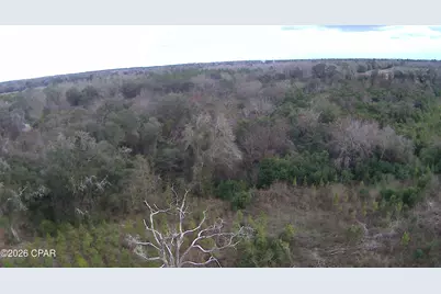 0000 Lovewood Road, Cottondale, FL 32431 - Photo 19