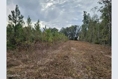 0000 Lovewood Road, Cottondale, FL 32431 - Photo 7