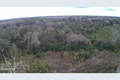 0000 Lovewood Road, Cottondale, FL 32431 - Photo 27