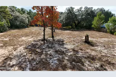 726 Heavener Lane, Panama City, FL 32409 - Photo 5