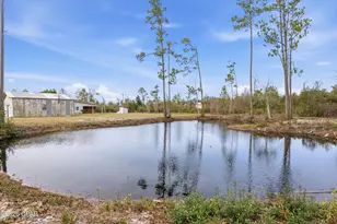 8524 Hwy 2301, Youngstown, FL 32466 - Photo 15