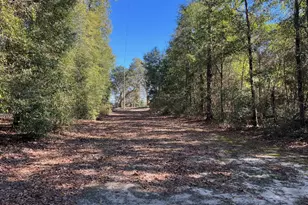 5894 Jasper Rd, Bascom, FL 32423 - Photo 51