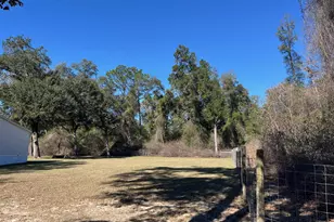 5894 Jasper Rd, Bascom, FL 32423 - Photo 43