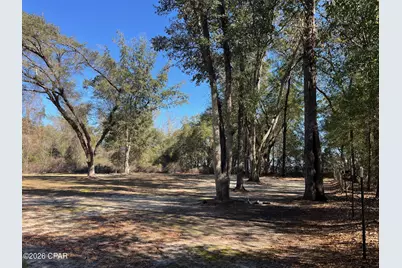 5894 Jasper Road, Bascom, FL 32423 - Photo 41