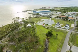 246 Dockside Dr, Port Saint Joe, FL 32456 - Photo 71