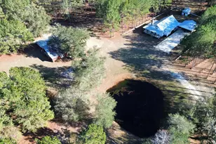 3379 Acy Rd, Vernon, FL 32462 - Photo 3