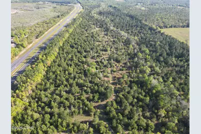 0000 Hwy 231, Alford, FL 32420 - Photo 3