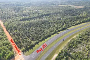 0000 Hwy 231, Alford, FL 32420 - Photo 1