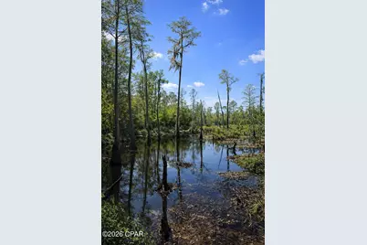 1013 Fairview Road, Marianna, FL 32448 - Photo 17