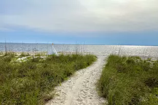 344 Tide Water Dr, Port Saint Joe, FL 32456 - Photo 41