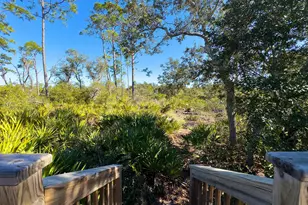 344 Tide Water Dr, Port Saint Joe, FL 32456 - Photo 35