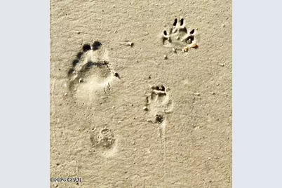 344 Tide Water Drive, Port Saint Joe, FL 32456 - Photo 43