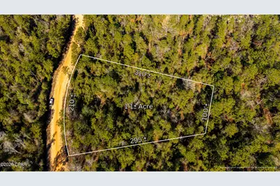 0 Rossville Avenue, Alford, FL 32420 - Photo 3