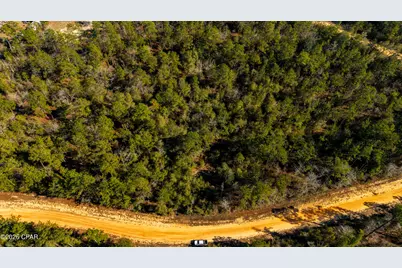 0 Rossville Avenue, Alford, FL 32420 - Photo 11