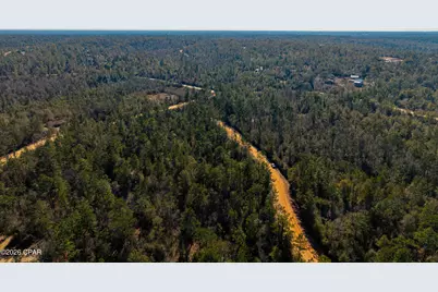 0 Rossville Avenue, Alford, FL 32420 - Photo 15