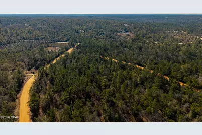 0 Rossville Avenue, Alford, FL 32420 - Photo 17