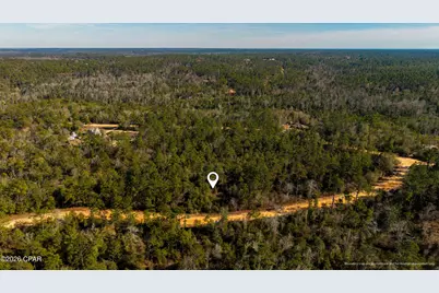 0 Rossville Avenue, Alford, FL 32420 - Photo 5