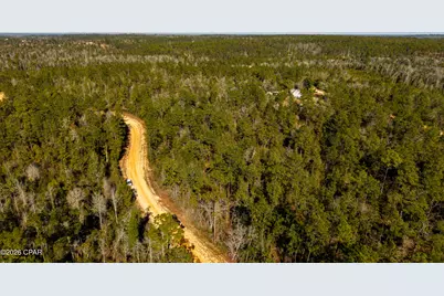 0 Rossville Avenue, Alford, FL 32420 - Photo 21