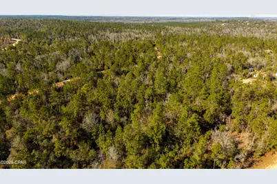 0 Rossville Avenue, Alford, FL 32420 - Photo 19