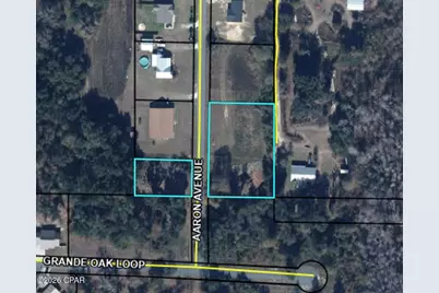 0000 Aaron Avenue, Grand Ridge, FL 32442 - Photo 1