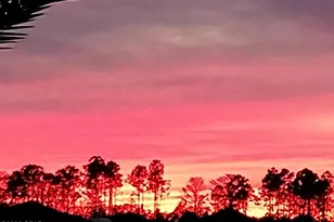 8528 Margaritaville Blvd, Panama City Beach, FL 32413 - Photo 49