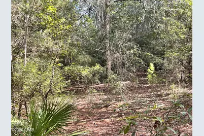 3902 Union Hill Road, Caryville, FL 32427 - Photo 9