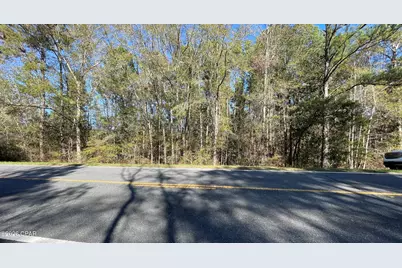 0 Jacob Main St. Street, Cottondale, FL 32431 - Photo 3