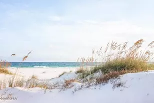 152 McCosh Mill Rd, Port Saint Joe, FL 32456 - Photo 89