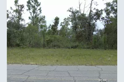 Lot 5 Darlington Drive, Chipley, FL 32428 - Photo 9