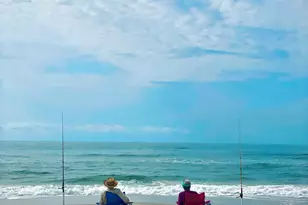 2719 State Road 30A, Port Saint Joe, FL 32456 - Photo 69