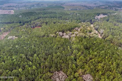 Xxx Sumac Road, Westville, FL 32464 - Photo 13