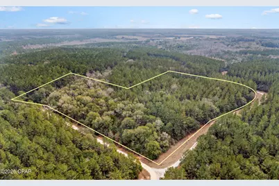 Xxx Sumac Road, Westville, FL 32464 - Photo 1