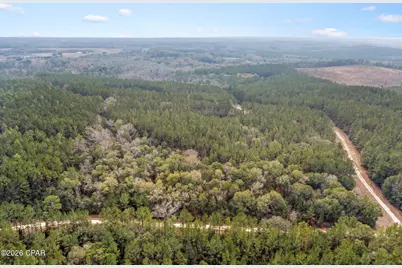 Xxx Sumac Road, Westville, FL 32464 - Photo 15