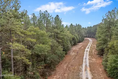 Xxx Sumac Road, Westville, FL 32464 - Photo 5