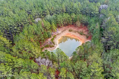 Xxx Sumac Road, Westville, FL 32464 - Photo 11