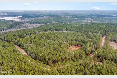 Xxx Sumac Road, Westville, FL 32464 - Photo 17