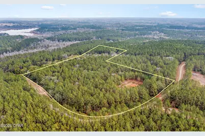 Xxx Sumac Road, Westville, FL 32464 - Photo 9