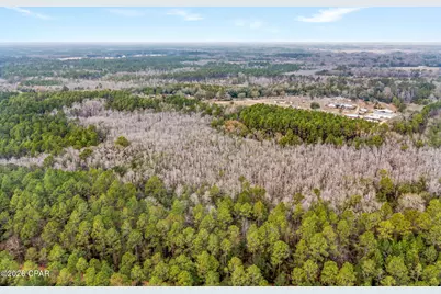 Xxx White Oak Lane, Bonifay, FL 32425 - Photo 7