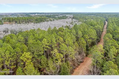 Xxx White Oak Lane, Bonifay, FL 32425 - Photo 3