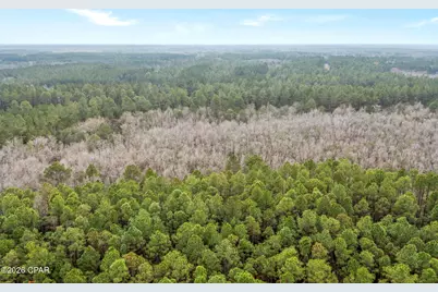 Xxx White Oak Lane, Bonifay, FL 32425 - Photo 9