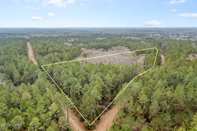 Xxx Hawthorne Trail, Bonifay, FL 32425 - Photo 1