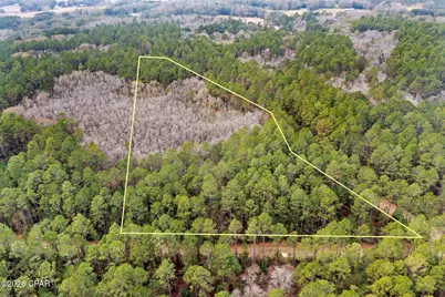 Xxx Hawthorne Trail, Bonifay, FL 32425 - Photo 3