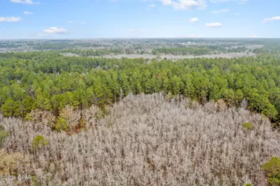 Xxx Hawthorne Trail, Bonifay, FL 32425 - Photo 15
